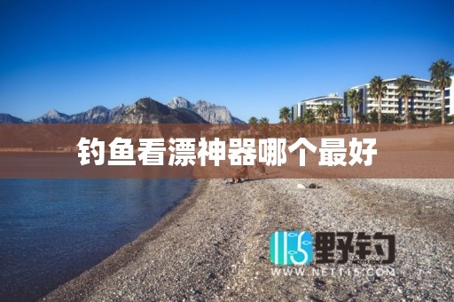 钓鱼看漂神器哪个最好