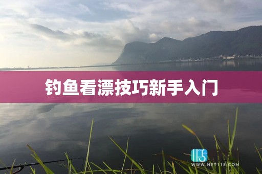 钓鱼看漂技巧新手入门