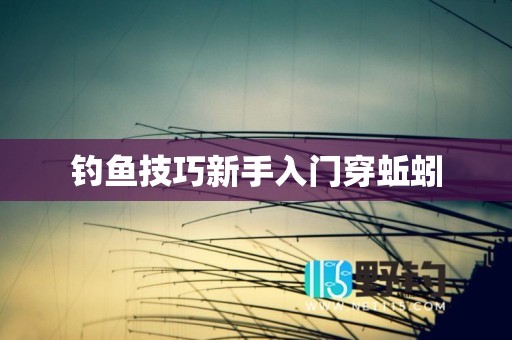 钓鱼技巧新手入门穿蚯蚓