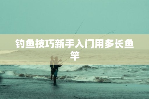 钓鱼技巧新手入门用多长鱼竿