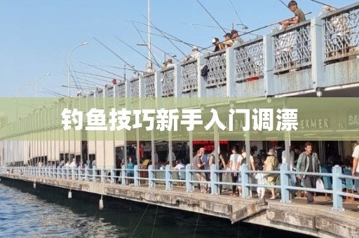 钓鱼技巧新手入门调漂
