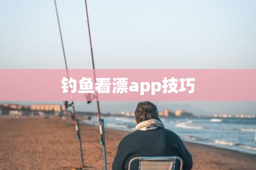 钓鱼看漂app技巧
