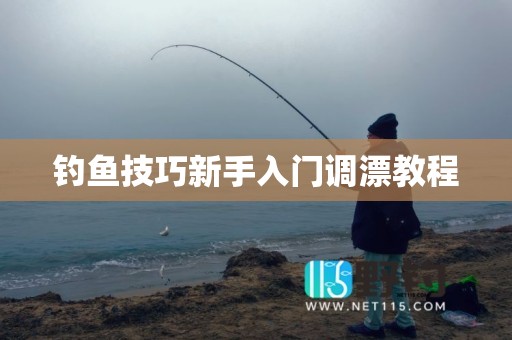 钓鱼技巧新手入门调漂教程