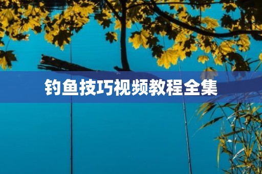 钓鱼技巧视频教程全集