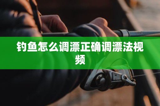 钓鱼怎么调漂正确调漂法视频