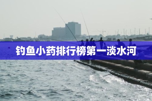 钓鱼小药排行榜第一淡水河