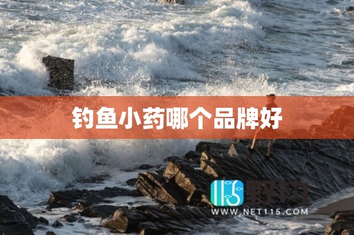 钓鱼小药哪个品牌好