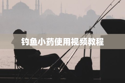 钓鱼小药使用视频教程