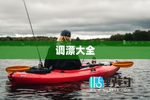 调漂大全