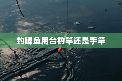 钓鲫鱼用台钓竿还是手竿