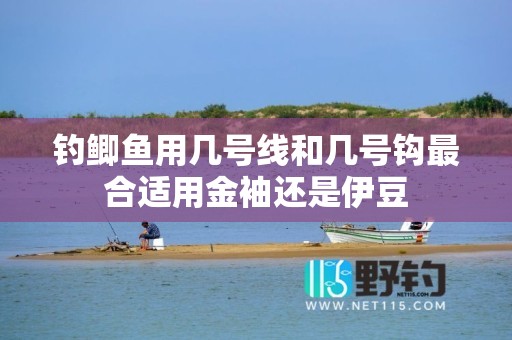 钓鲫鱼用几号线和几号钩最合适用金袖还是伊豆