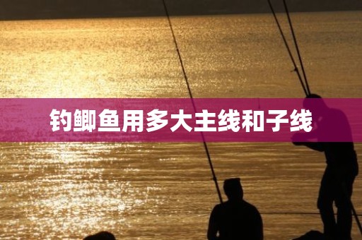 钓鲫鱼用多大主线和子线