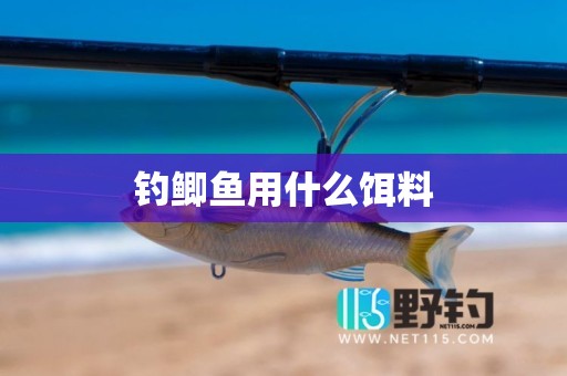 钓鲫鱼用什么饵料