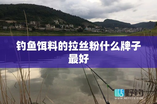 钓鱼饵料的拉丝粉什么牌子最好