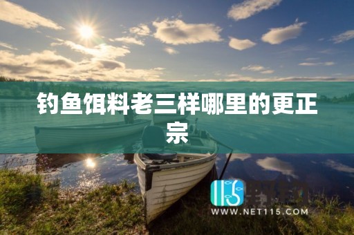 钓鱼饵料老三样哪里的更正宗