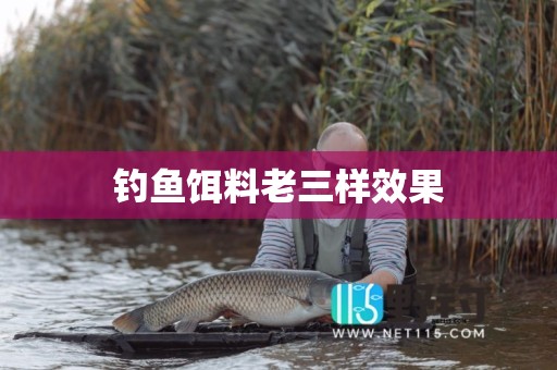 钓鱼饵料老三样效果