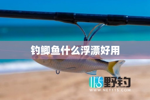 钓鲫鱼什么浮漂好用