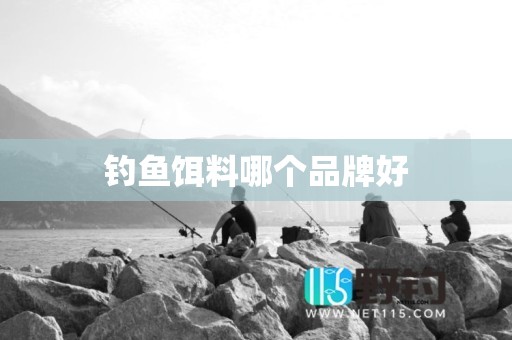 钓鱼饵料哪个品牌好