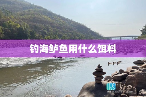 钓海鲈鱼用什么饵料