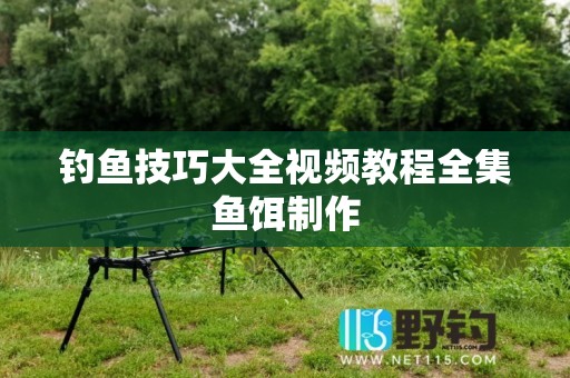 钓鱼技巧大全视频教程全集鱼饵制作