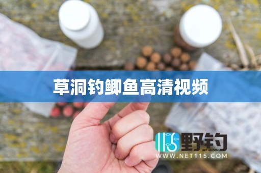 草洞钓鲫鱼高清视频