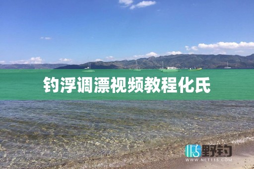 钓浮调漂视频教程化氏