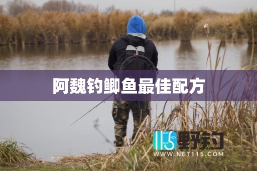 阿魏钓鲫鱼最佳配方