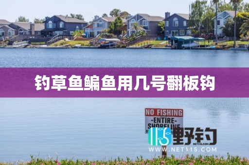 钓草鱼鳊鱼用几号翻板钩