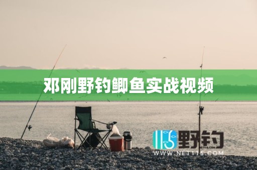 邓刚野钓鲫鱼实战视频