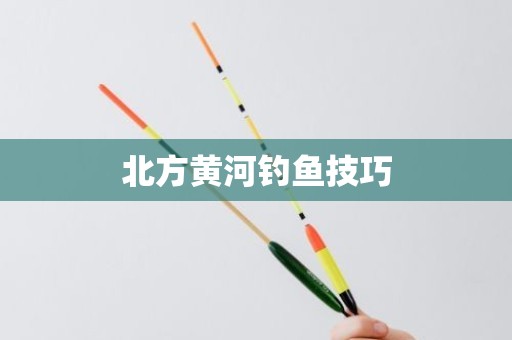北方黄河钓鱼技巧