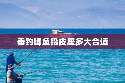 垂钓鲫鱼铅皮座多大合适
