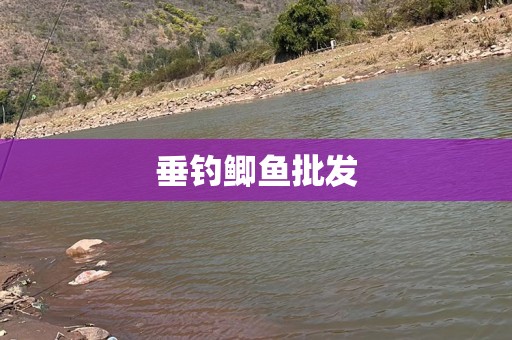 垂钓鲫鱼批发