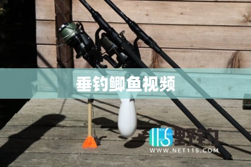 垂钓鲫鱼视频