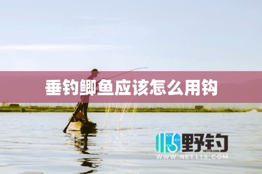 垂钓鲫鱼应该怎么用钩