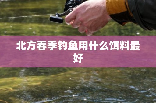 北方春季钓鱼用什么饵料最好