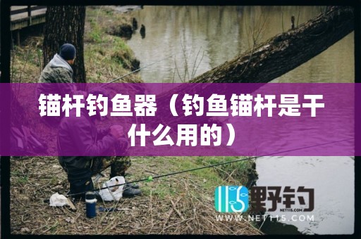 锚杆钓鱼器（钓鱼锚杆是干什么用的）