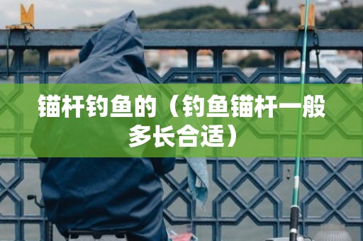 锚杆钓鱼的（钓鱼锚杆一般多长合适）