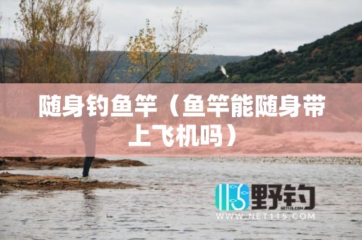 随身钓鱼竿（鱼竿能随身带上飞机吗）