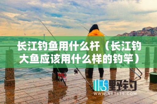 长江钓鱼用什么杆（长江钓大鱼应该用什么样的钓竿）