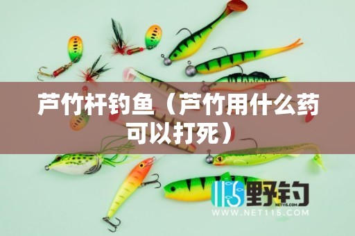 芦竹杆钓鱼（芦竹用什么药可以打死）