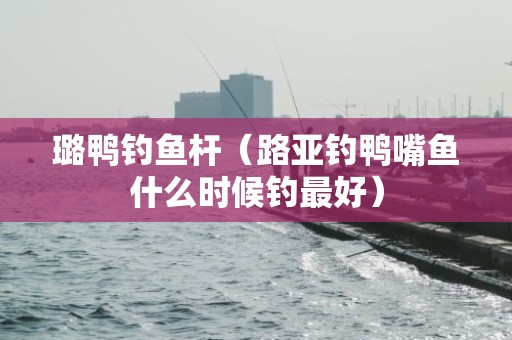 璐鸭钓鱼杆（路亚钓鸭嘴鱼什么时候钓最好）