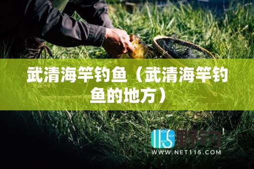 武清海竿钓鱼（武清海竿钓鱼的地方）