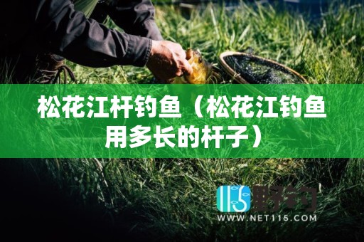 松花江杆钓鱼（松花江钓鱼用多长的杆子）