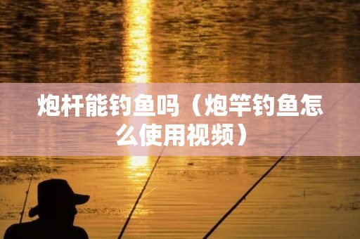 炮杆能钓鱼吗（炮竿钓鱼怎么使用视频）