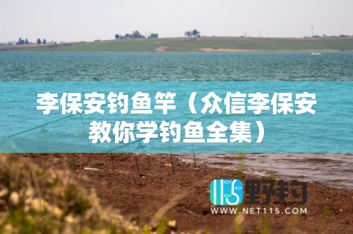 李保安钓鱼竿（众信李保安教你学钓鱼全集）
