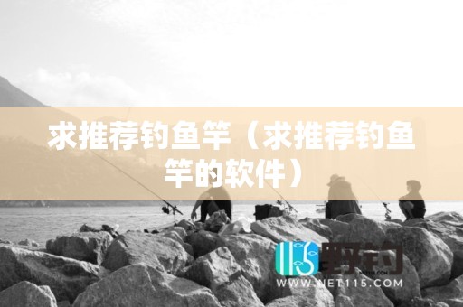 求推荐钓鱼竿（求推荐钓鱼竿的软件）