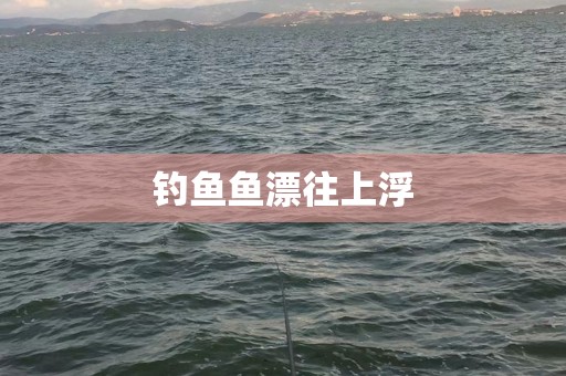 钓鱼鱼漂往上浮