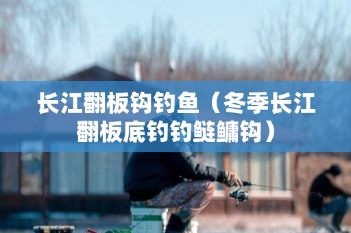 长江翻板钩钓鱼（冬季长江翻板底钓钓鲢鳙钩）