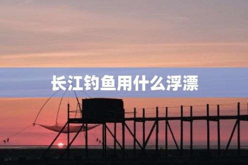 长江钓鱼用什么浮漂