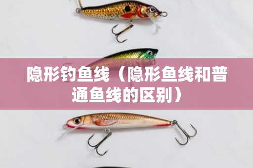 隐形钓鱼线（隐形鱼线和普通鱼线的区别）